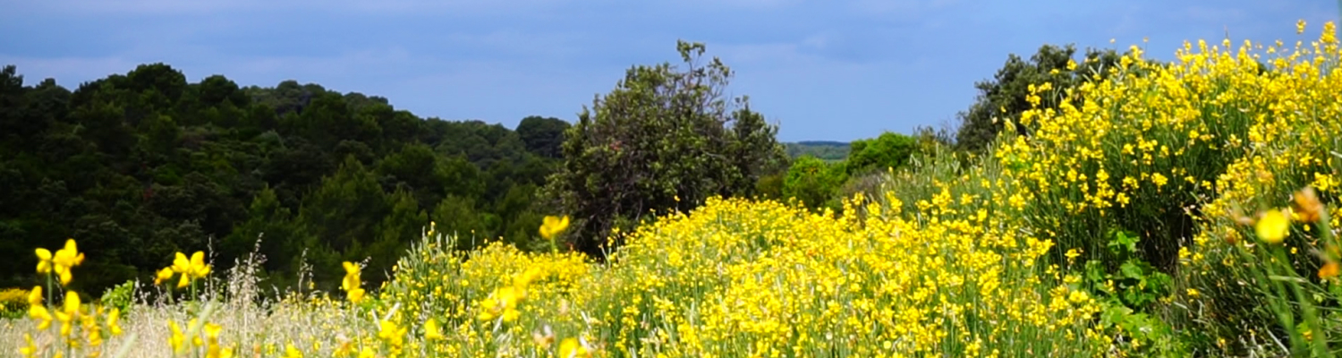 Un Domaine en Agriculture Biologique