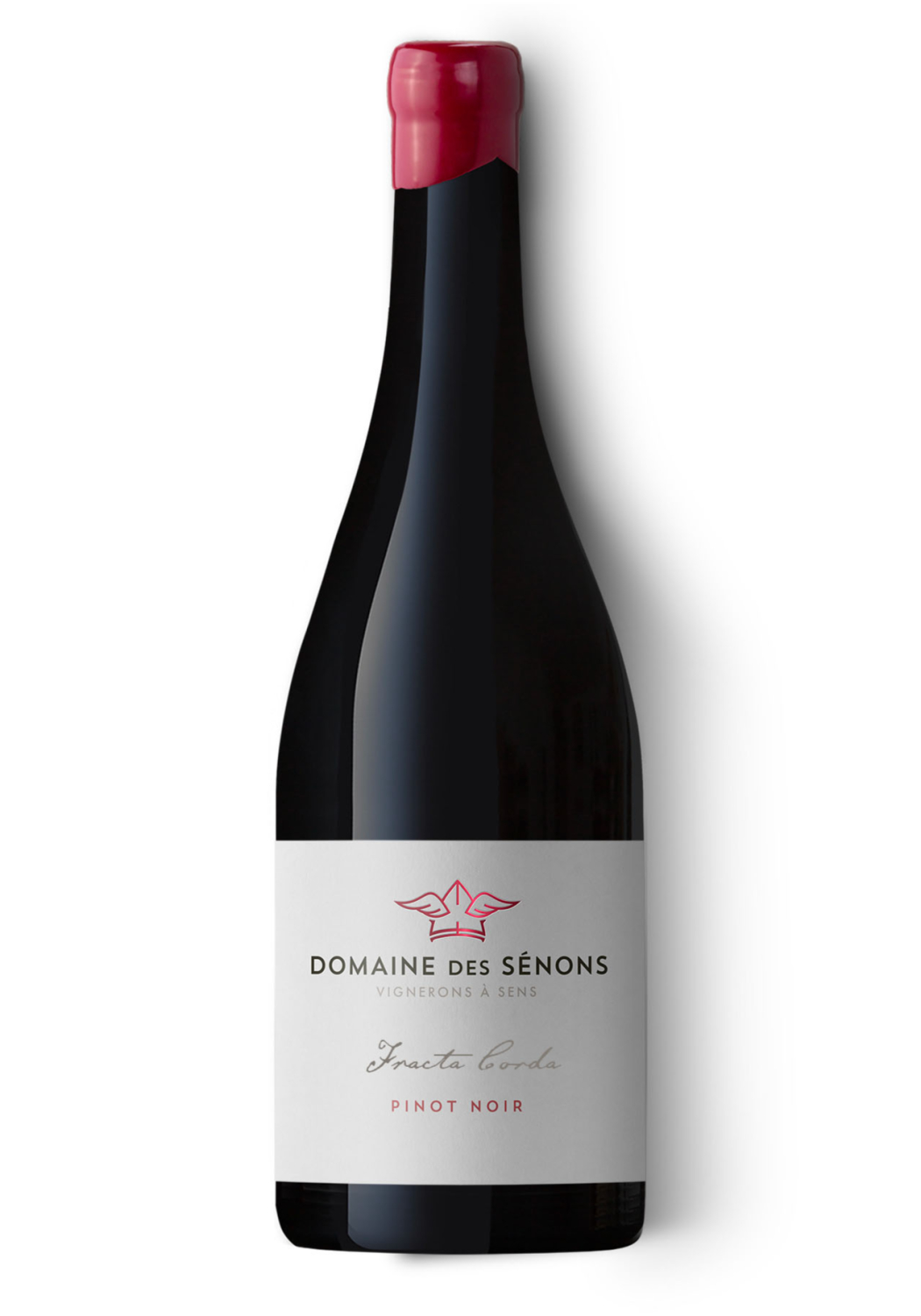 Fracta Corda, Pinot Noir