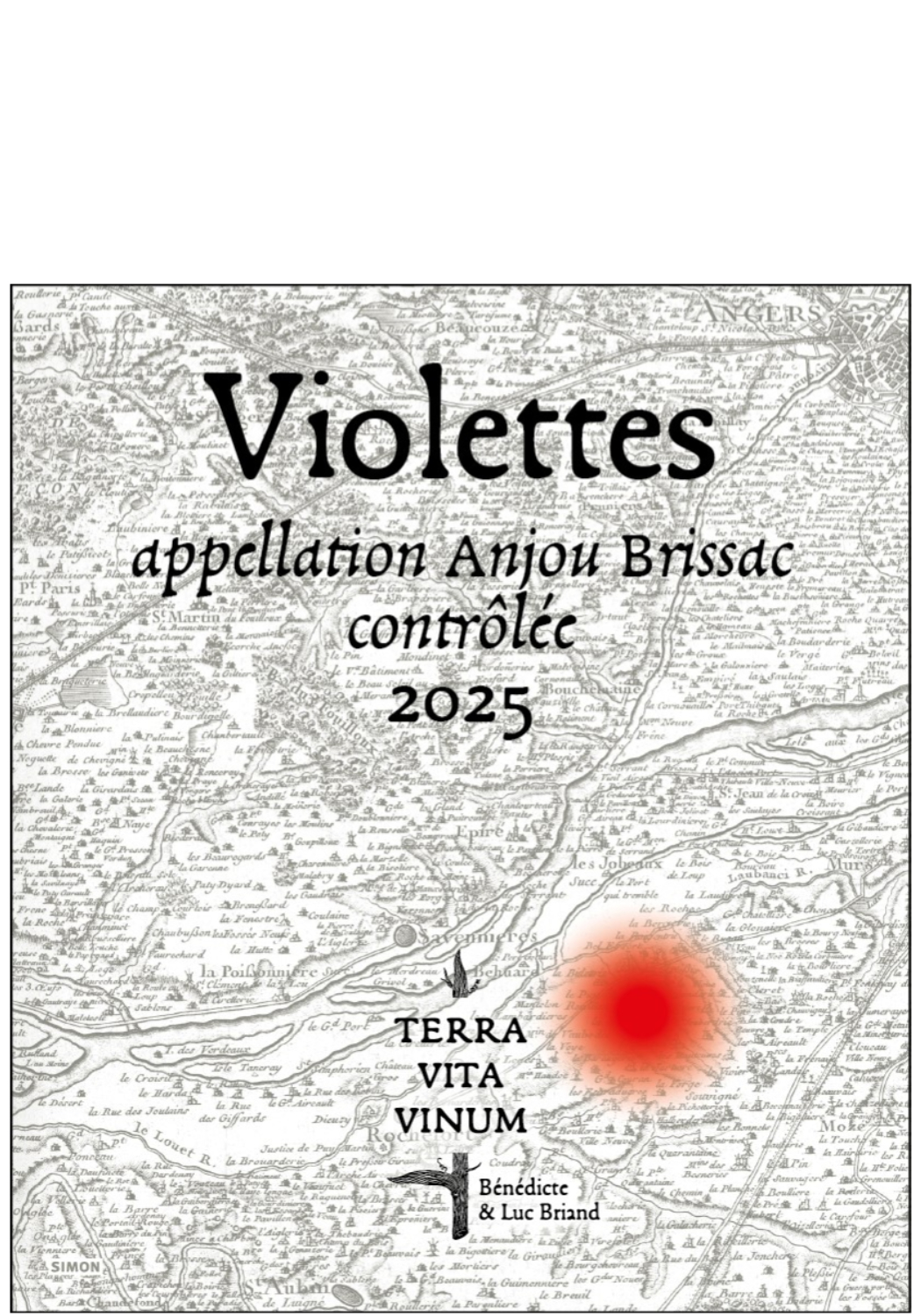 Appellation Anjou Brissac Contrôlée - Violettes - 2025