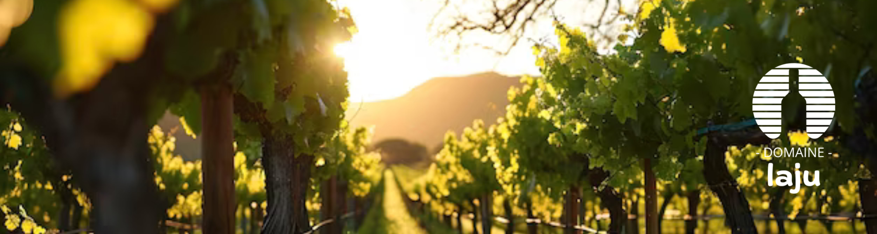 DOMAINE DU LAJU