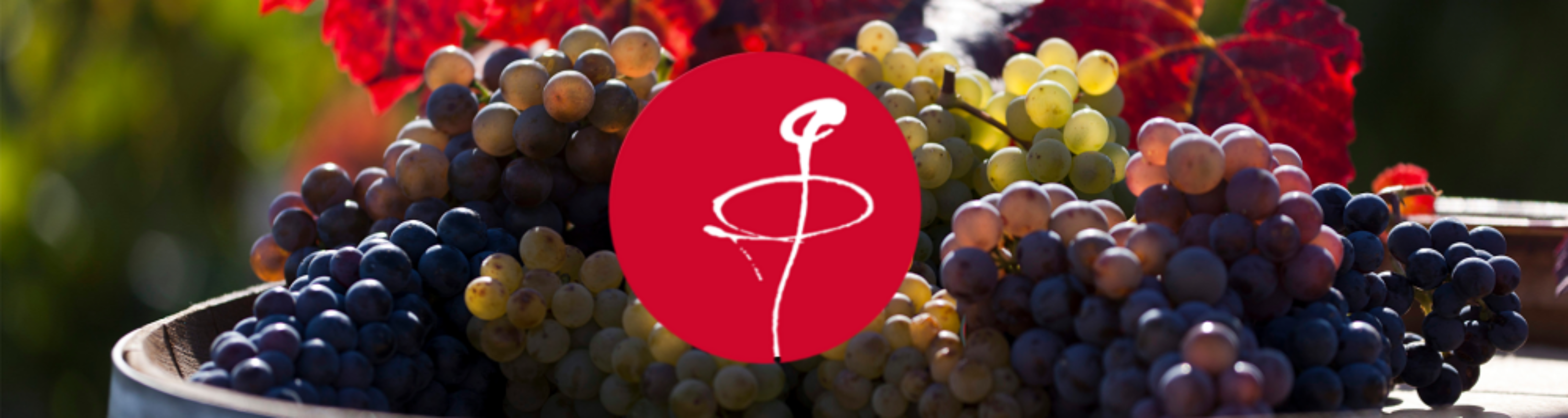 Gagnebert, de notre bouteille à votre verre... 🍷