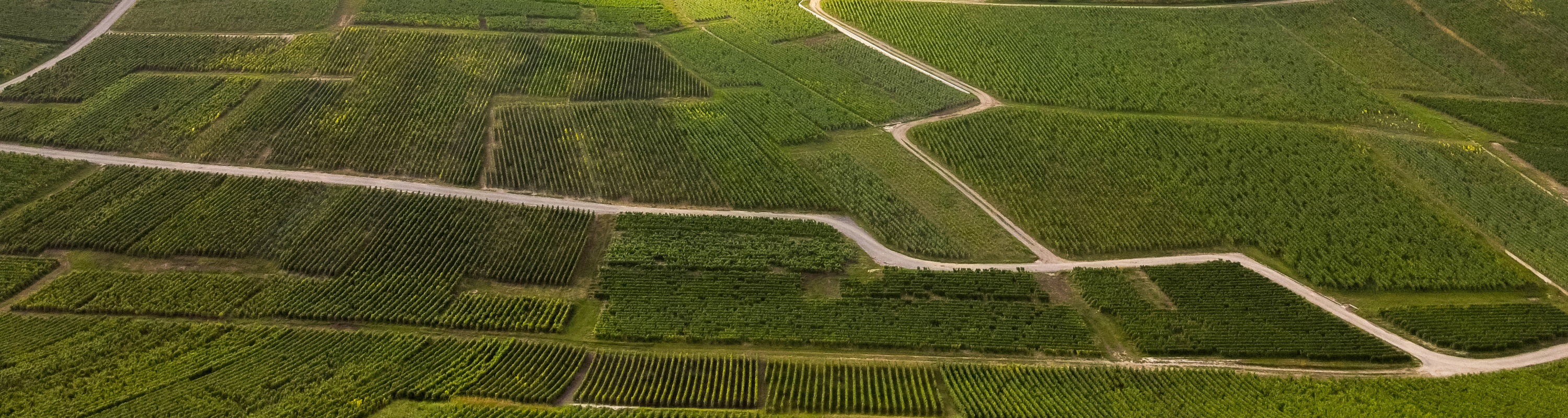 La perception d'un instant, la maîtrise du temps,Notre domaine attacheune attention particulièreau vieillissement de ses vins.