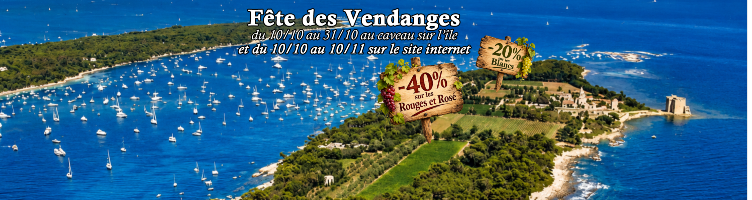Nos vins