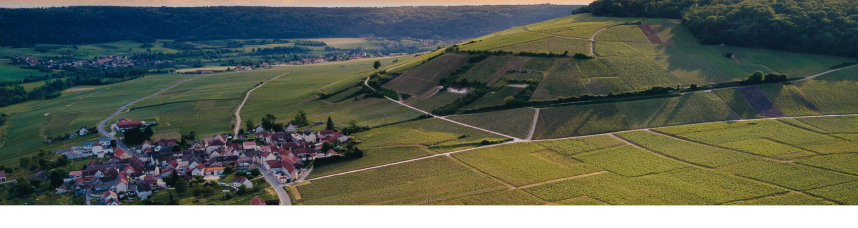 Champagne Montagne-Cazot